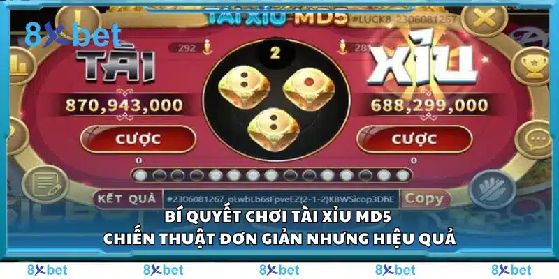 Bí quyết chơi tài xỉu MD5 – Chiến thuật đơn giản nhưng hiệu quả