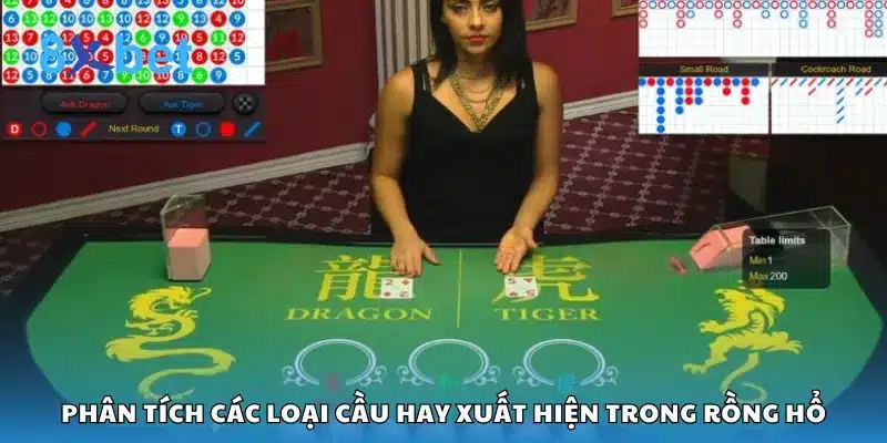 Phân tích các loại cầu hay xuất hiện trong Rồng Hổ