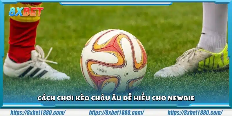 Hướng dẫn cách chơi kèo Châu Âu dễ hiểu cho newbie 