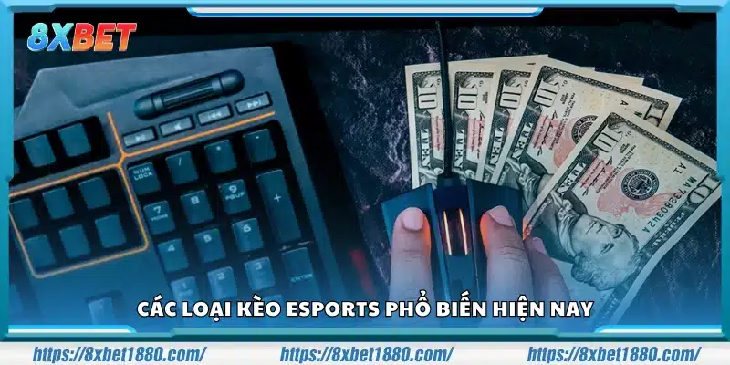 Những loại kèo Esports được nhiều người chơi lựa chọn