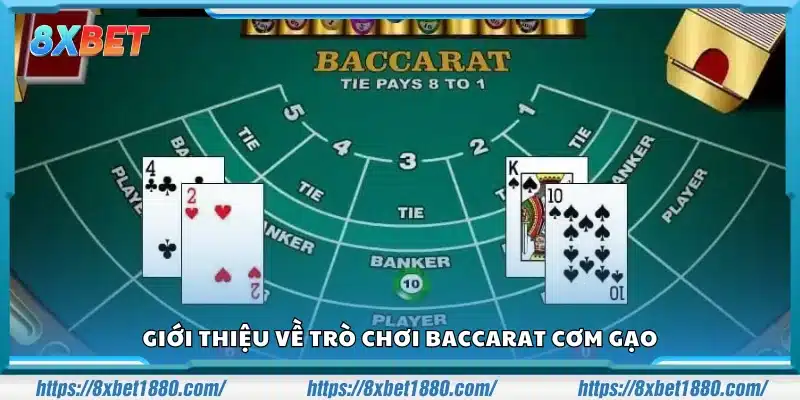 Baccarat cơm gạo là gì? Giới thiệu tổng quan cho người mới