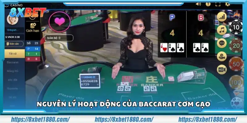Cách thức hoạt động và luật chơi của Baccarat cơm gạo
