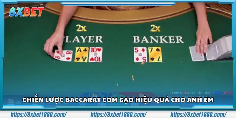 Chiến lược Baccarat cơm gạo giúp tăng tỷ lệ thắng